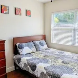 Spacious House With Big Backyard In N. Hyde Park / Close To Downtown Tampa